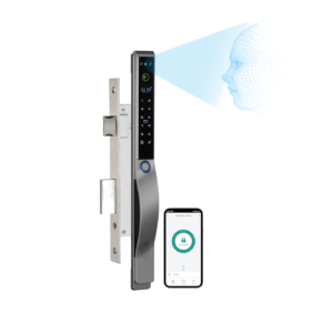 Face Recognition WiFi Door Lock