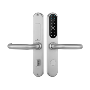 4-in-1 Operating Method Bio-metric Wi-Fi Door Lock